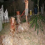 P7020365.JPG