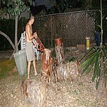 P7020366.JPG