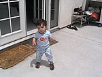 IMG_9254.JPG