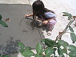 IMG_9262.JPG