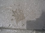 IMG_9268.JPG