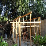 IMG_4368.JPG