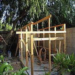 IMG_4369.JPG