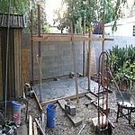 P6140291.JPG