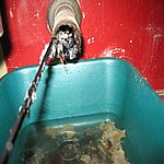 IMG_2161.JPG