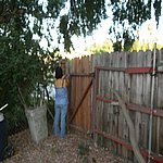 P8250613.JPG