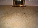 IMG_5125.JPG