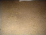 IMG_5126.JPG