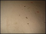 IMG_5139.JPG