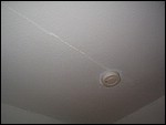 IMG_5150.JPG