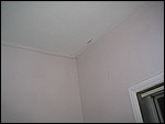 IMG_5151.JPG