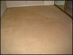 IMG_5153.JPG