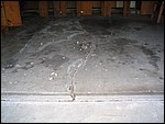 IMG_5175.JPG