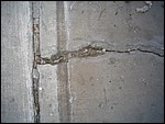 IMG_5176.JPG