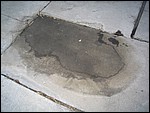 IMG_5177.JPG
