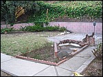 IMG_5178.JPG