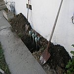 P8040575.JPG