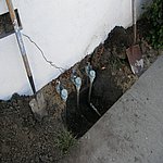 P8040576.JPG